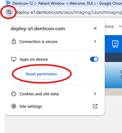 reset chrome perm.png